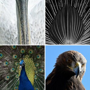 Zoo und Tiergehege