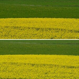 Landschaften