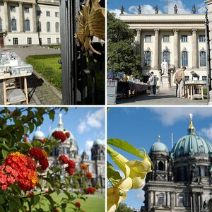 Berlins Mitte - Mal anders...