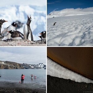 ANTARCTICA III