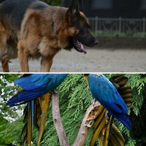Bilder von Anderen