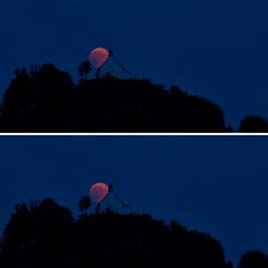 Blutmond
