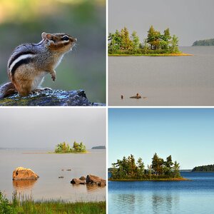 Früh morgens am Ottawa River
