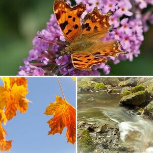 Natur