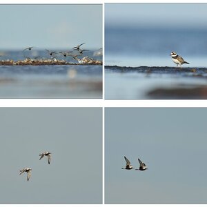 Schweden 2014