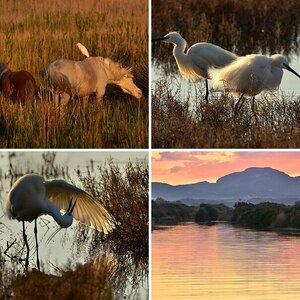 S´Albufera-2