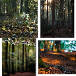 Herbst 2013