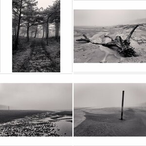 Texel 4