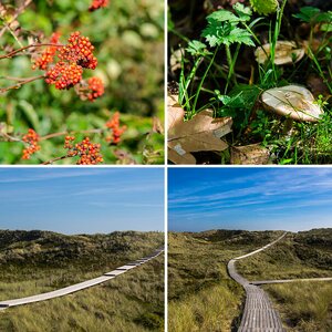 Sylt Oktober 2013
