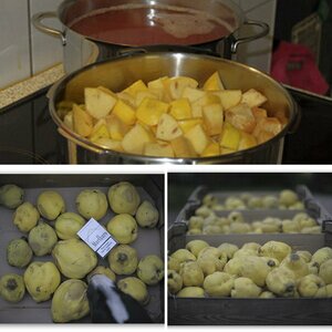 Obst