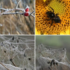 BILDER