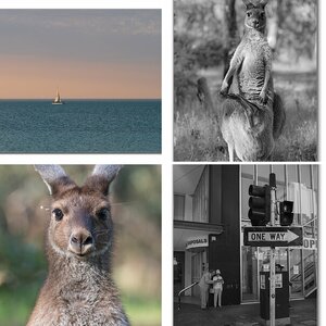 schon wieder Australien