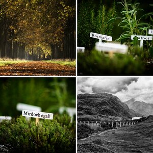 Natur & Landschaft
