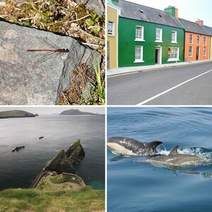 Irland