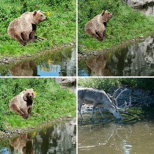 Zoobilder