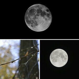 Bilder mit der D3200 Nikkor 55-300mm 1:4.5-5.6G ED