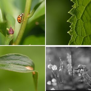 50mm f 1.4