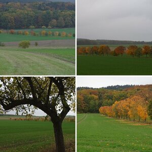 Herbst