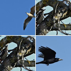 Meine Fotos