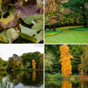 Natur