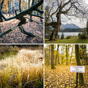 Natur u. Landschaft XI
