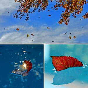 Herbst