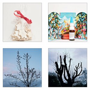 365-Tage-Projekt 2018 VI