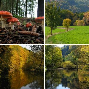 Herbstbilder 2013