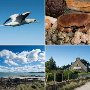 Bretagne 2018