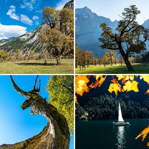 Herbst
