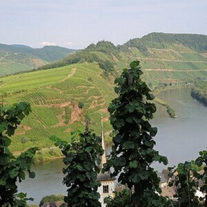 Mosel