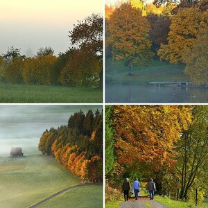 Herbst im Nordschwarzwald