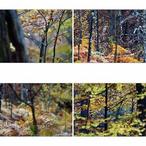 Farbe15