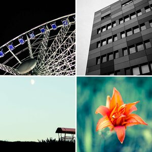 Top 5 Bilder 2014