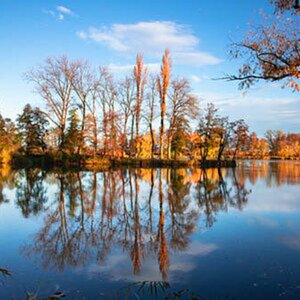 Herbstimpression