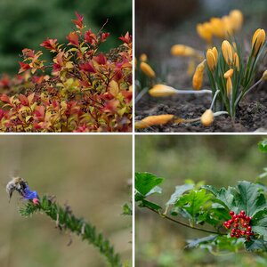 Blüten und Pflanzen 2