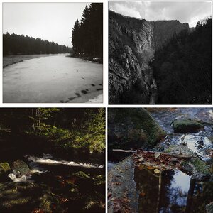 Harz
