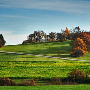 Herbst