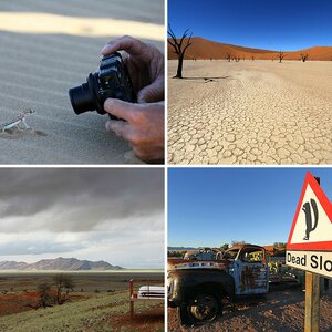 Fotoreisen 2015 & 2016