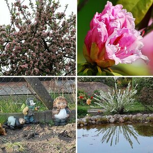 Blüten