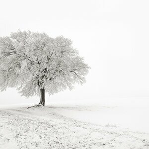 Natur in Lippe