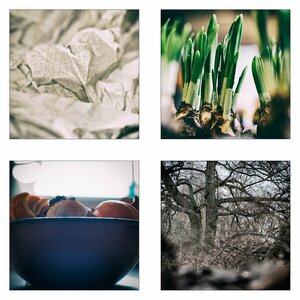 365-Tage-Projekt 2015 I