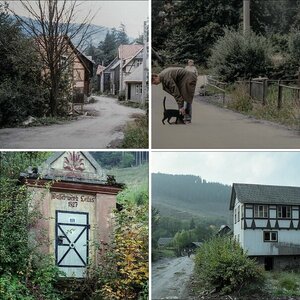 Leibis 1994