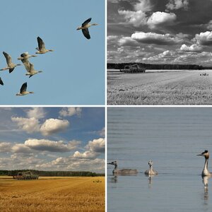 Sommerurlaub 2013 4