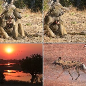 Botswana2