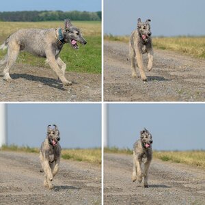 Esgaroth Bilder 27