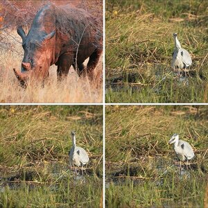 Botswana3