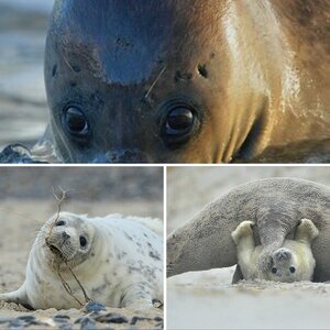 Helgoland Winter 20012/23