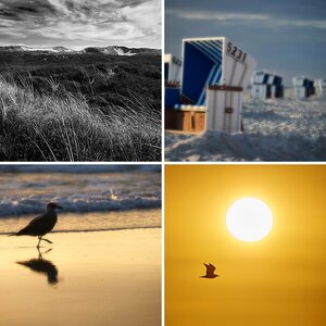 Sylt