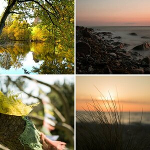 Meine Fotos